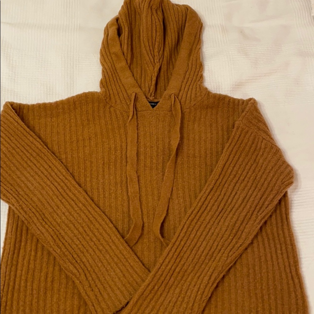 Soft and Cozy Brown Fuzzy Hoodie